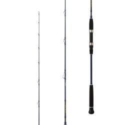 Daiwa Exceler Oceano 186 cm 60-120 gr Jig Kamış - 2