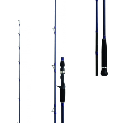 Daiwa Exceler Oceano 198 cm Max 250 gr Tetikli Jig Kamış - 2