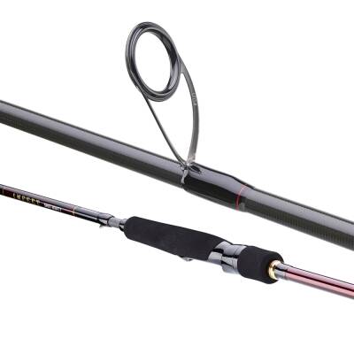 Daiwa Infeet Seabass 213 cm 14-42 gr Spin Kamış - 4