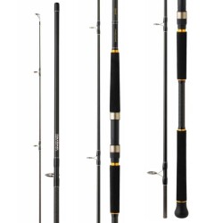 Daiwa Legalis 290 cm 28-84 gr Shore Jig Kamış - 2