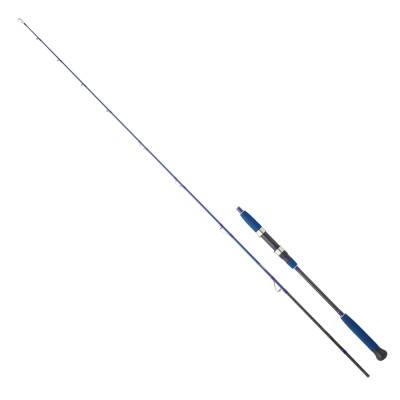 Daiwa Legalis Oceano JG 190 cm 60-120 gr Light Jig Kamış - 1