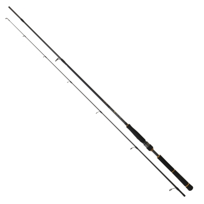 Daiwa New BG Seabass 244 cm 14-42 gr Spin Kamış - 1