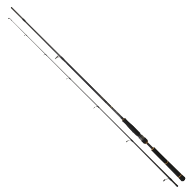 Daiwa New BG Seabass 244 cm 7-28 gr Spin Kamış - 1