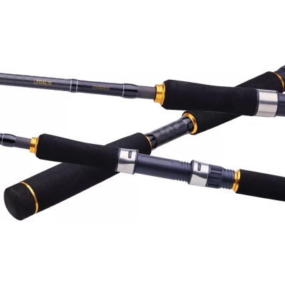 Daiwa New Legalis Seabass 221 cm 28-84 gr Spin Kamış - 2