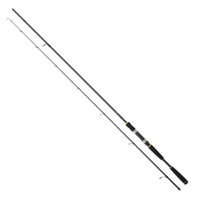 Daiwa New Legalis Seabass 305 cm 14-56 gr Spin Kamış - 1