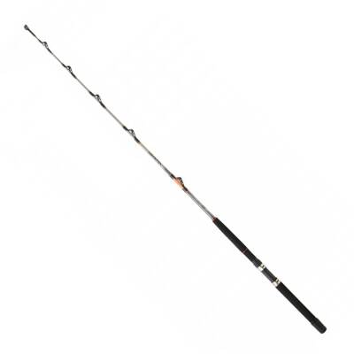 Daiwa New Megaforce 170 cm 30-50 LBS Trolling Kamış - 1