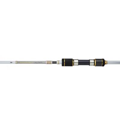 Daiwa New Megaforce 220 cm 60-180 gr Jig Kamış - 2