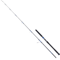 Daiwa New Saltiga GT 259 cm 100-180 gr Jig Kamış - 1