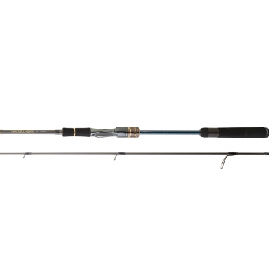 Daiwa New Tournament SW AGS 244 cm 7-28 gr Spin Kamış - 2