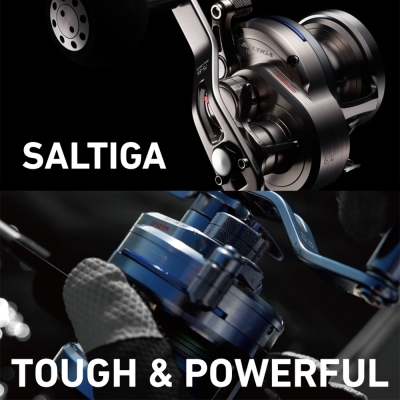 Daiwa Saltiga 2015 15 HLSJ Sol El Slow Jig Çıkrık - 2