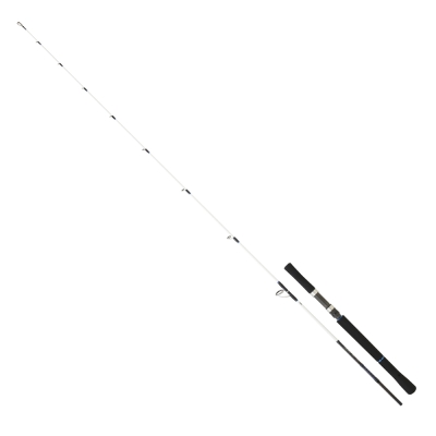 Daiwa Saltist 191 cm 60-150 gr Jig Kamış - 1