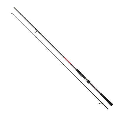 Daiwa Saltist Seabass 244 cm 14-42 gr Spin Kamış - 1