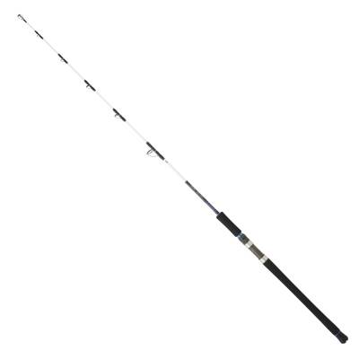 Daiwa Saltist Vertical 165 cm 100-300 gr Tek Parça Jig Kamış - 1