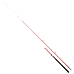 Daiwa Sensor Palangrotte 180 cm 20-100 gr Bot Kamış - 1