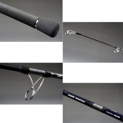 Daiwa Shore Spartan Coastal 290 cm 40-120 gr Jig Kamış - 2