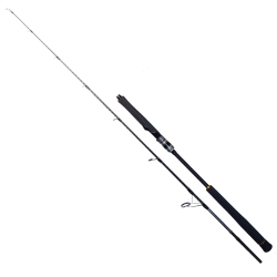 Ryuji Seawolf 168 cm 150-250 gr Jig Kamış - 1