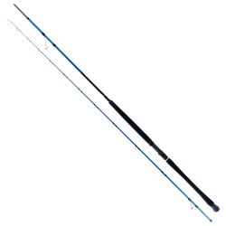 Ryuji Shore Game Fuji 285 cm 25-85 gr Shore Jig Kamış - 1