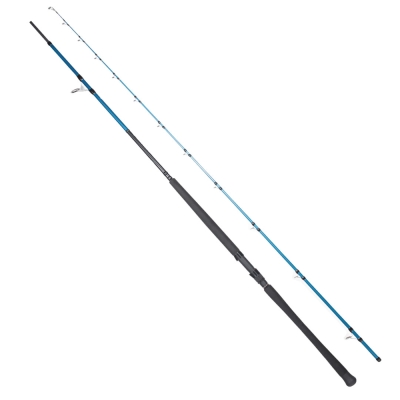 Ryuji Shore Game Fuji KW 285 cm 25-85 gr Shore Jig Kamış - 1