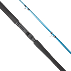 Ryuji Shore Game Fuji KW 285 cm 25-85 gr Shore Jig Kamış - 2