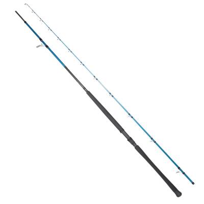 Ryuji Shore Game Fuji KW 295 cm 30-100 gr Shore Jig Kamış - 1