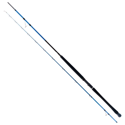 Ryuji Shore Game Fuji KW 310 cm 60-150 gr Shore Jig Kamış - 1