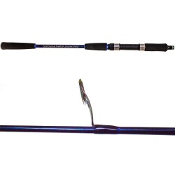 Ryuji Strobe 168 cm 40-110 gr Jig Kamış - 2