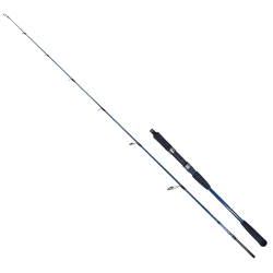 Ryuji Strobe II 168 cm 80-170 gr Jig Kamış - 1