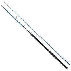 Savage Gear SGS2 290 cm 20-80 gr M Shore Jigging Kamış - 1