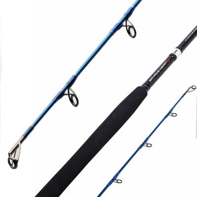 Savage Gear SGS2 290 cm 20-80 gr M Shore Jigging Kamış - 2