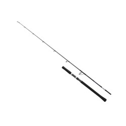 Shimano Grappler BB 183 cm Max 250 gr Jig Kamış - 1